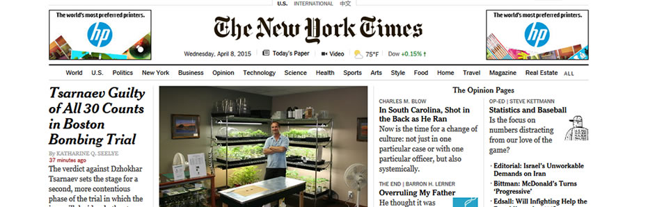 Lynch in New York Times